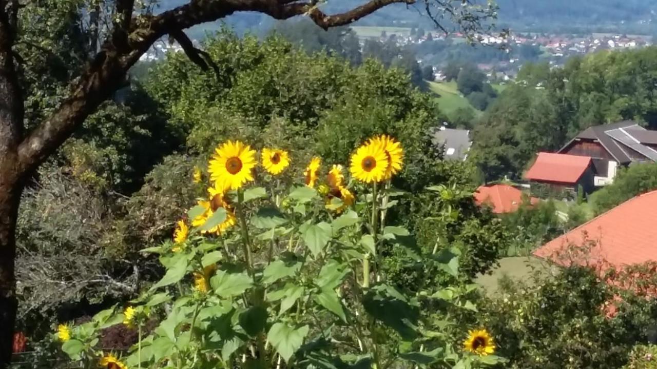 דירות מילסטאט Muellnerhaus מראה חיצוני תמונה